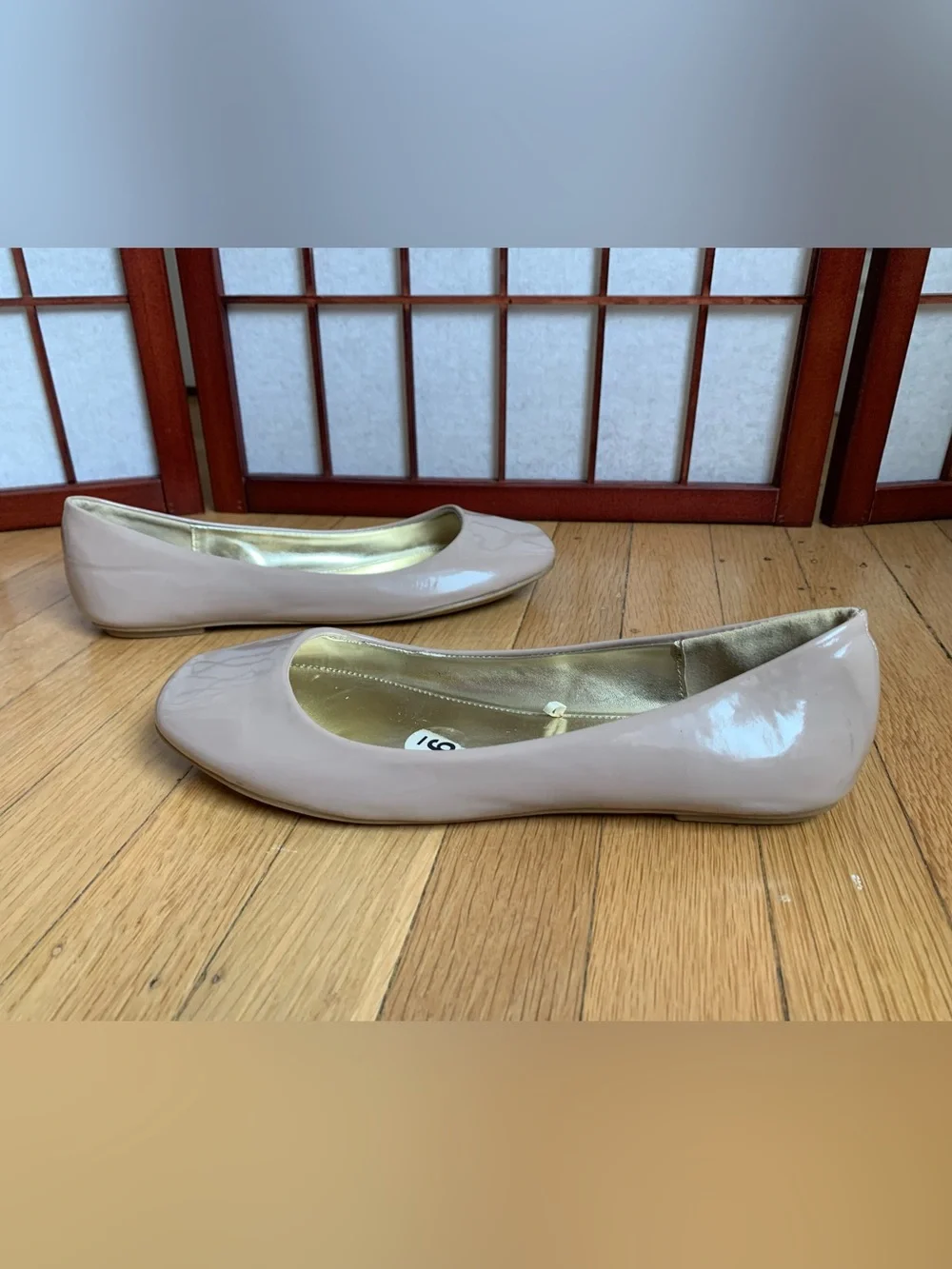 Steve Madden new without